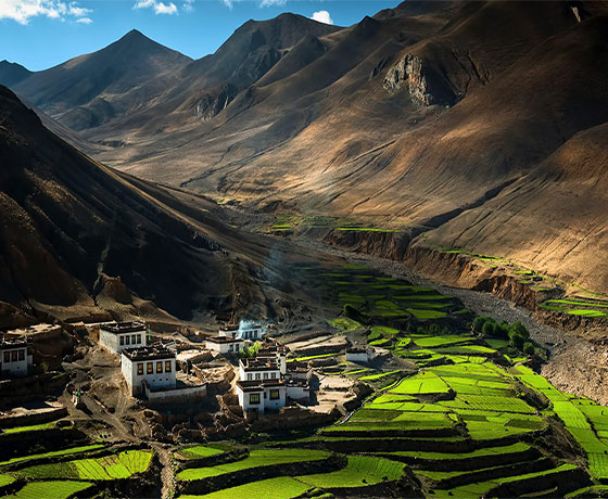 Best of Tibet Tours