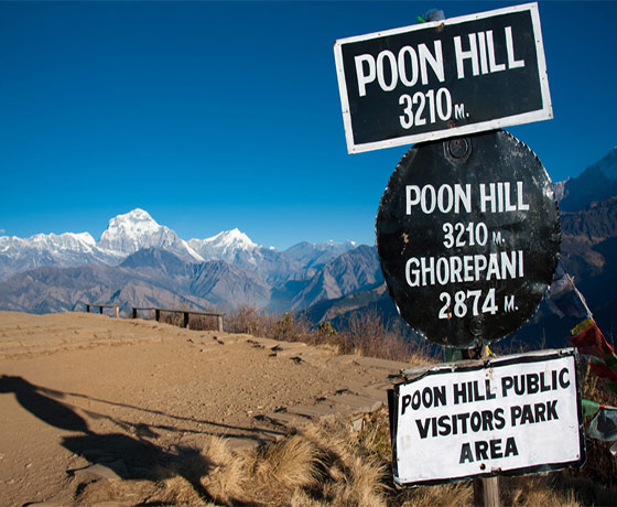 Ghorepani Poon Hill Trek 